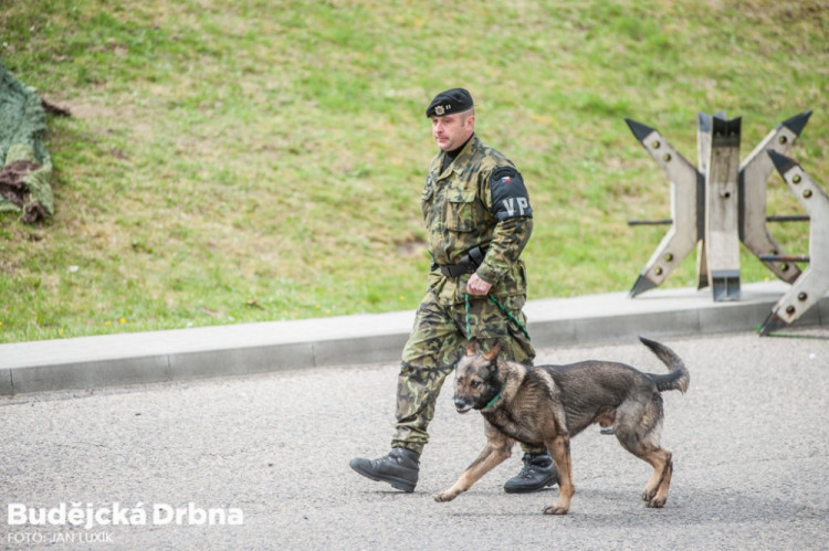 Safeguard 2017 - cvičení vojáků, policistů a specialistů ČEZ na ochranu Jaderné elektrárny Temelín proti teroristickému útoku