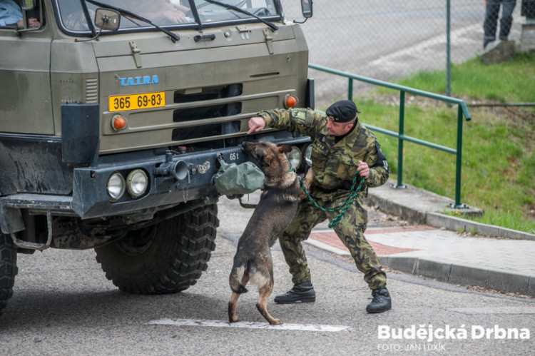 Safeguard 2017 - cvičení vojáků, policistů a specialistů ČEZ na ochranu Jaderné elektrárny Temelín proti teroristickému útoku