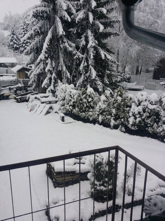 RíšaKaty Plačkovi