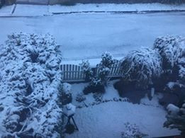 Daniela Prášilová