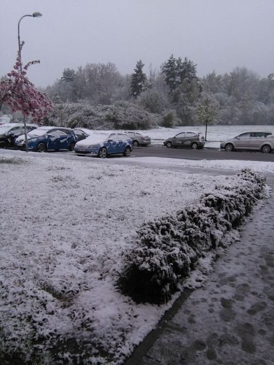 Sali Pštros Uddinová