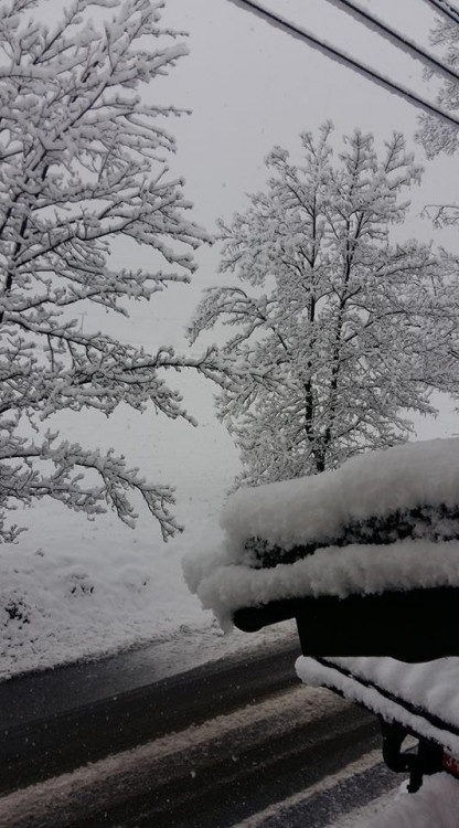 Monika Frömlová Podrazilová