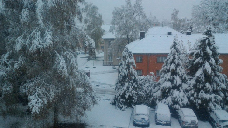 Václava Roháčková