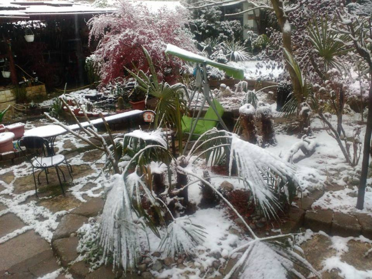 Boženka Křížová