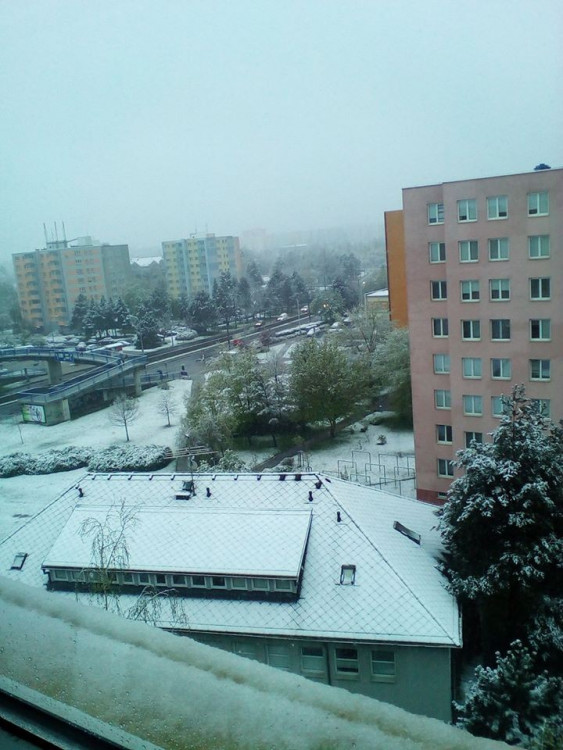 RybAnka And Skalová