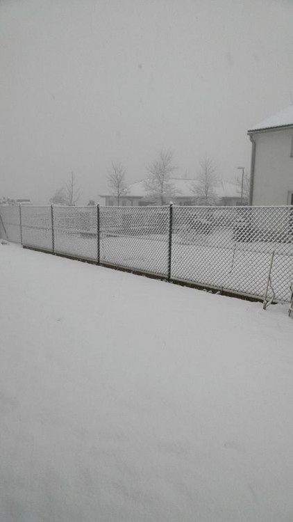 Žaneta Harvalíková