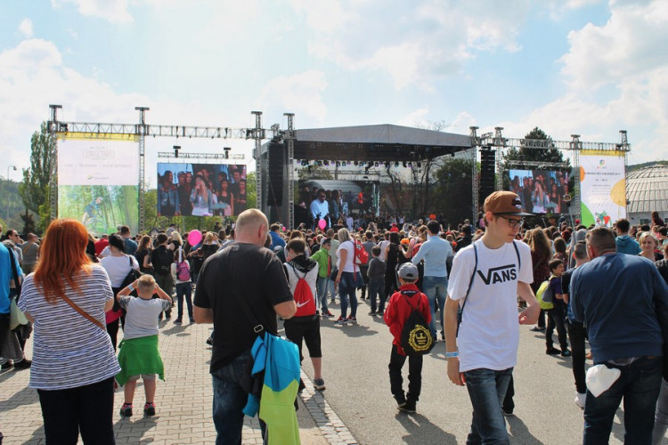 Utubering každý po svém, autor: Tomáš Sláma