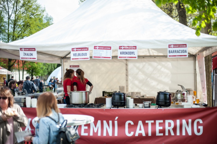 Bosch Fresh Festival v Českých Budějovicích