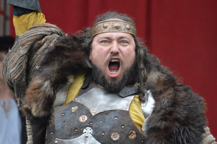 FOTOGALERIE: Na Helfštýně řinčí meče, koná se tam Festival vojenské historie