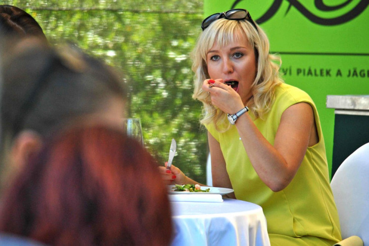 Fresh festival v Liberci