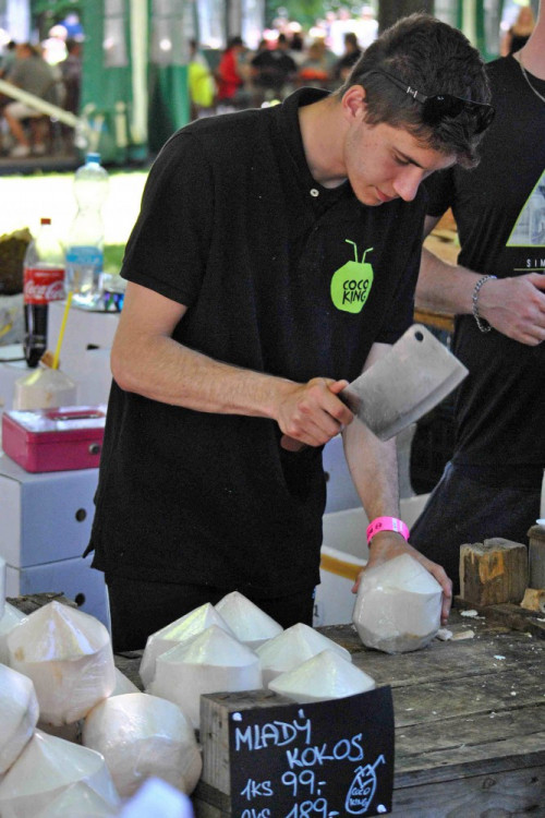 Fresh festival v Liberci