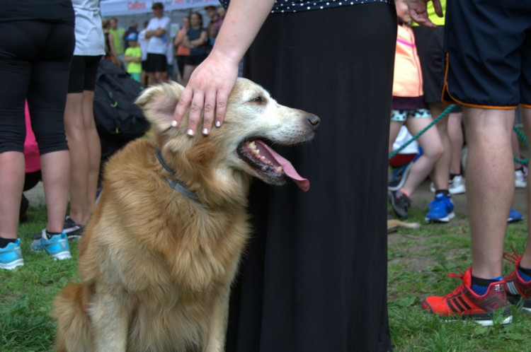 Lužánky patřily v neděli pejskům, Autor: Martin Šeda