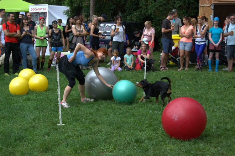 Lužánky patřily v neděli pejskům, Autor: Martin Šeda
