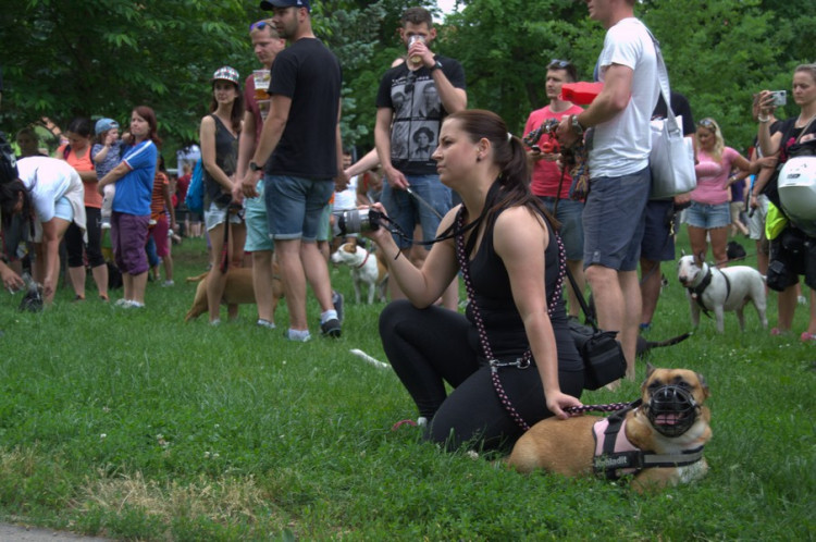 Lužánky patřily v neděli pejskům, Autor: Martin Šeda