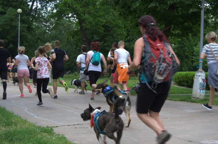 Lužánky patřily v neděli pejskům, Autor: Martin Šeda