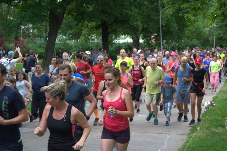 Lužánky patřily v neděli pejskům, Autor: Martin Šeda