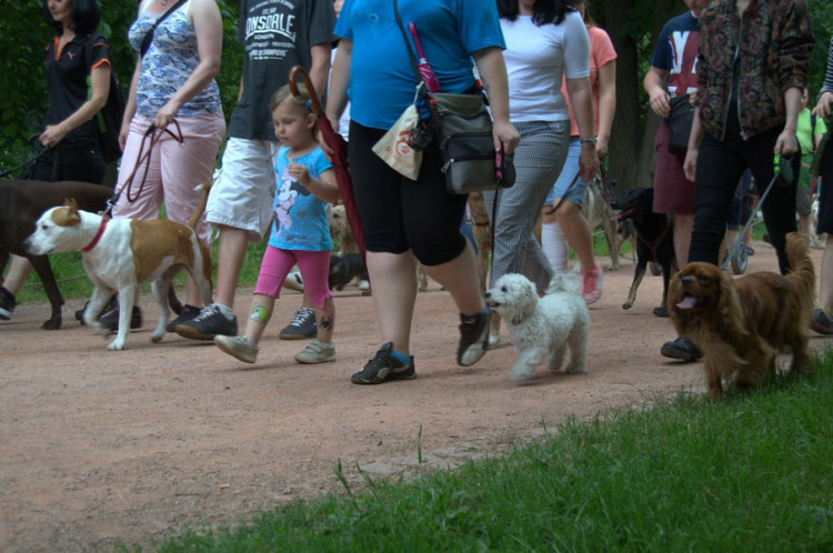 Lužánky patřily v neděli pejskům, Autor: Martin Šeda