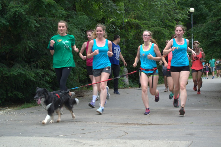 Lužánky patřily v neděli pejskům, Autor: Martin Šeda