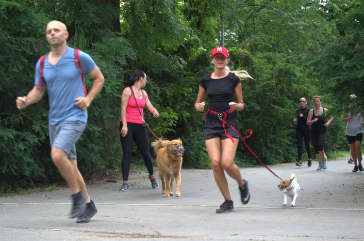 Lužánky patřily v neděli pejskům, Autor: Martin Šeda