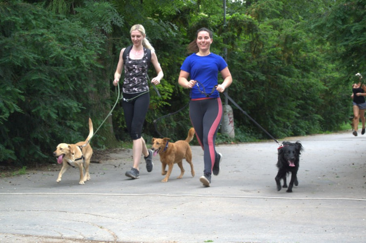 Lužánky patřily v neděli pejskům, Autor: Martin Šeda
