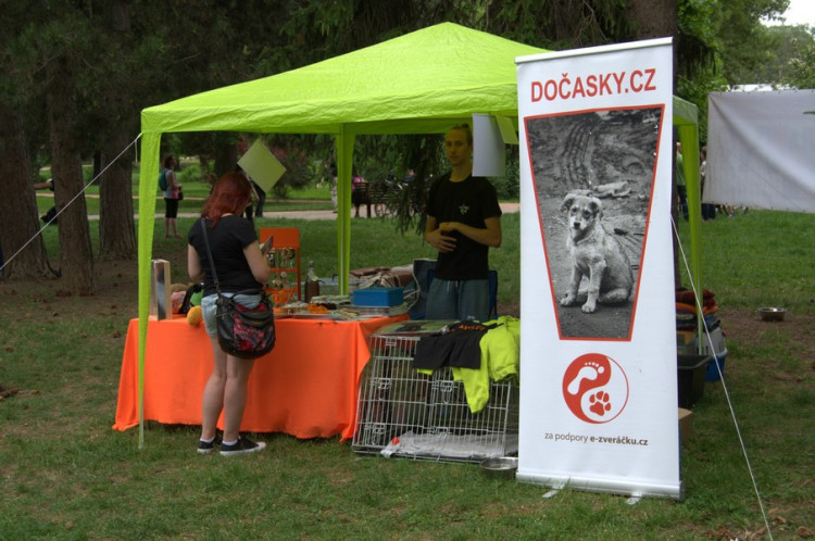 Lužánky patřily v neděli pejskům, Autor: Martin Šeda