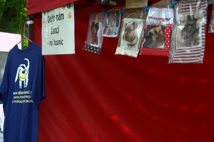 Lužánky patřily v neděli pejskům, Autor: Martin Šeda