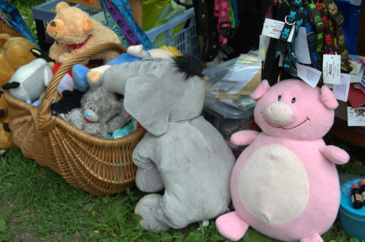 Lužánky patřily v neděli pejskům, Autor: Martin Šeda