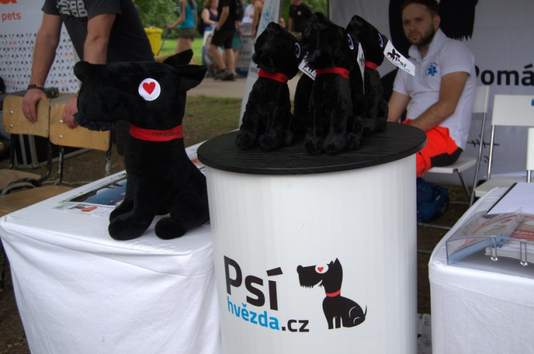 Lužánky patřily v neděli pejskům, Autor: Martin Šeda