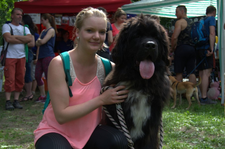 Lužánky patřily v neděli pejskům, Autor: Martin Šeda