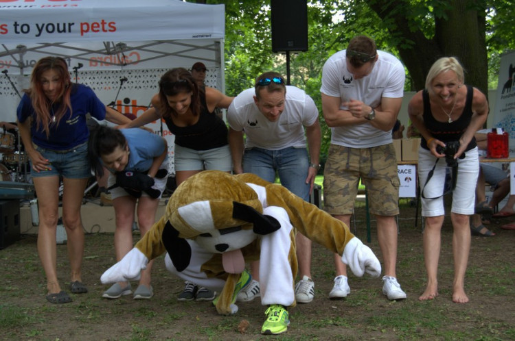 Lužánky patřily v neděli pejskům, Autor: Martin Šeda