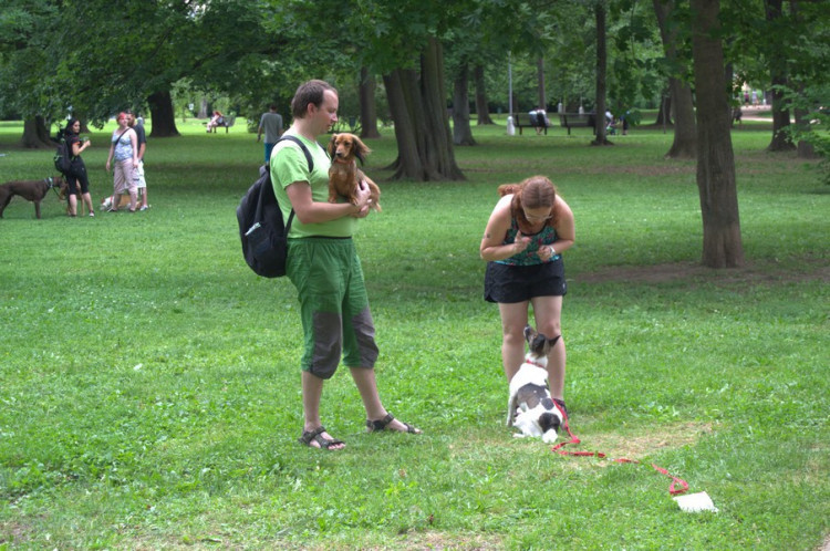 Lužánky patřily v neděli pejskům, Autor: Martin Šeda