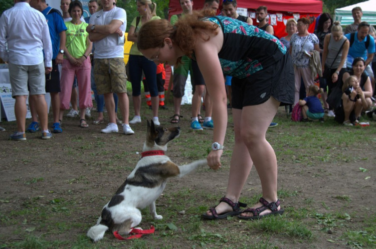 Lužánky patřily v neděli pejskům, Autor: Martin Šeda