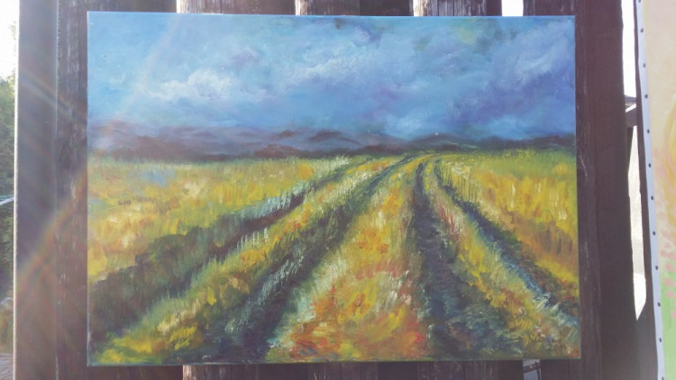 Skupina umělců „Olomoučtí&quot; společně vystavovala ve Slavoníně. Podívejte se na jejich díla