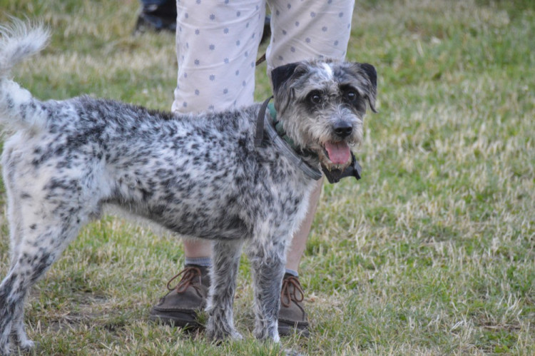 FOTO: První olomoucká venkovní PechaKucha Night v přístavišti se i přes nepřízeň počasí vyvedla