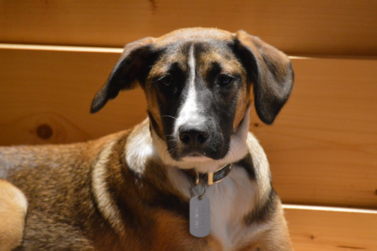 FOTO: První olomoucká venkovní PechaKucha Night v přístavišti se i přes nepřízeň počasí vyvedla