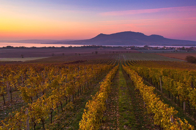 Neuvěřitelné Brno Pavla Gabzdyla