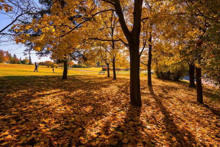 Neuvěřitelné Brno Pavla Gabzdyla
