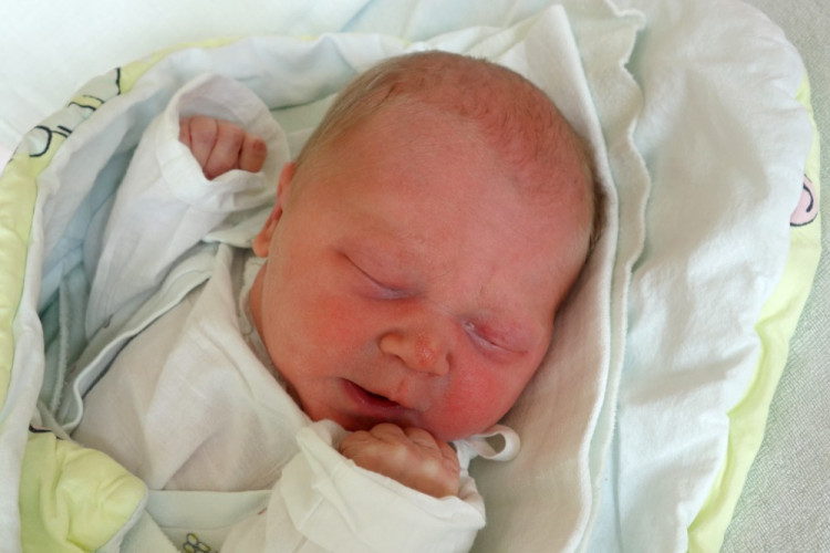 Bečvářová Kateřina