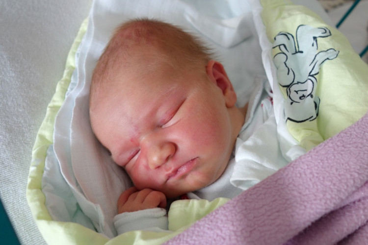 Matějková Stela Mína