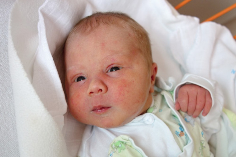 Šindelářová Eliška