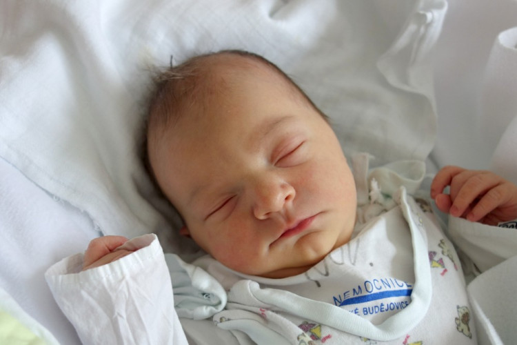 Oberpfalzerová Julie