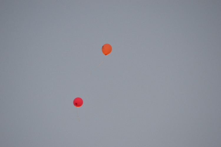 FOTO: Letošní půlmaraton je za námi, vyhrál ho Keňan Josphat Kiprop Kiptis. Podívejte se na fotky ze závodu