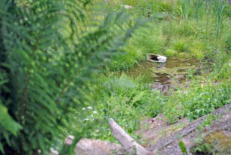 Lidé přišli na projednávání obnovy Lesního koupaliště