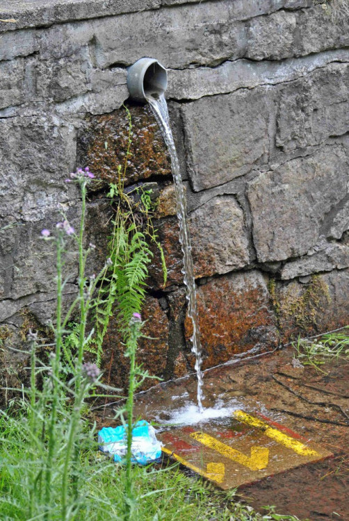 Lidé přišli na projednávání obnovy Lesního koupaliště