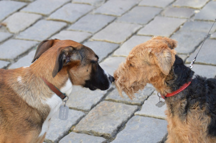 FOTOGALERIE: Proluka ve Ztracené ožila. Desítky lidí tam za krásného počasí posnídaly pod širým nebem