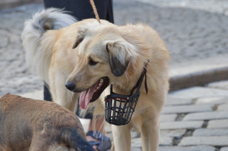 FOTOGALERIE: Proluka ve Ztracené ožila. Desítky lidí tam za krásného počasí posnídaly pod širým nebem