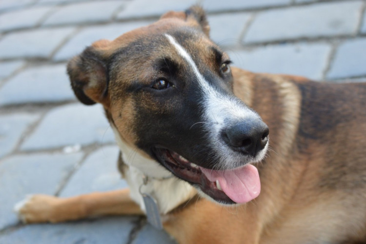 FOTOGALERIE: Proluka ve Ztracené ožila. Desítky lidí tam za krásného počasí posnídaly pod širým nebem