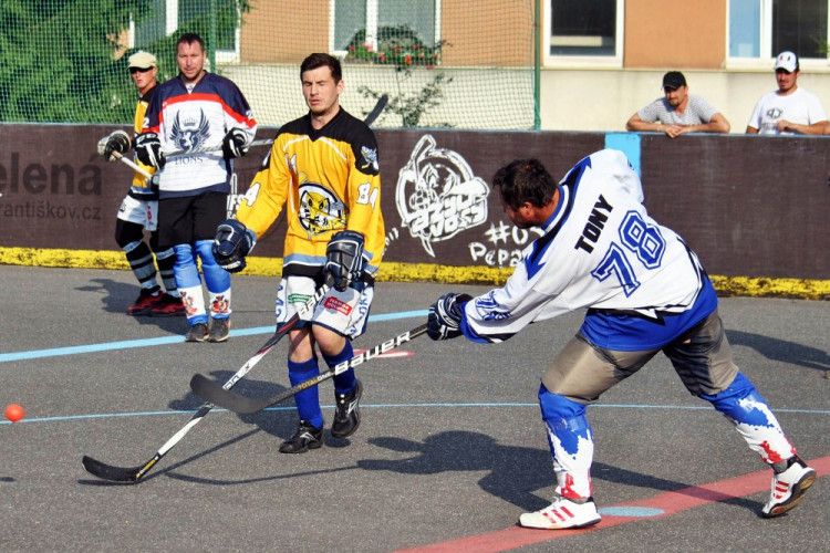 Hokejbalový titul mají Vosy