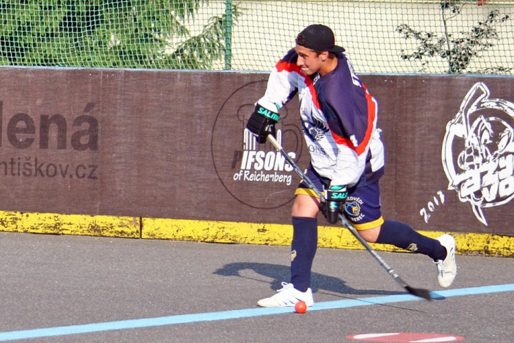 Hokejbalový titul mají Vosy