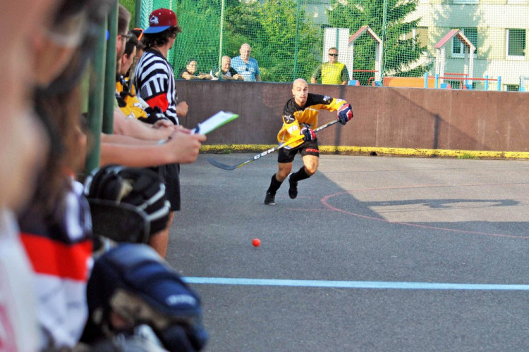 Hokejbalový titul mají Vosy